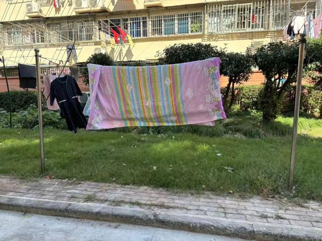 凝聚向心力提升居民幸福感AG旗舰赞助马竞联赛文明(图2)